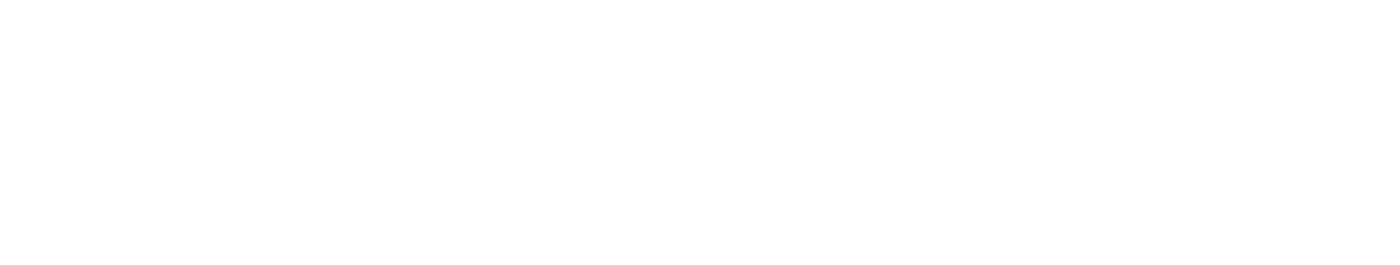 Practocore Footer Graphic